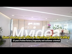 Nghiên cứu trường hợp về đồ nội thất văn phòng miền Nam Meigu