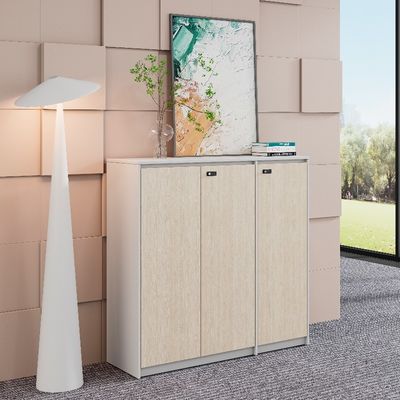Mua Tủ hồ sơ cửa gỗ để lưu trữ có tổ chức và an toàn trong văn phòng online manufacture